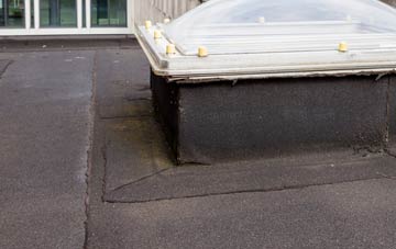 disadvantages of Ton Y Pistyll flat roofs