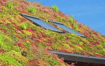 Ton Y Pistyll living roof systems
