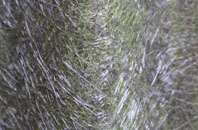 Ton Y Pistyll fibreglass roof work